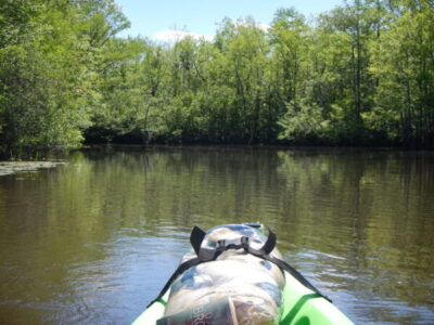 Lower Shoal River, Crestview, Florida