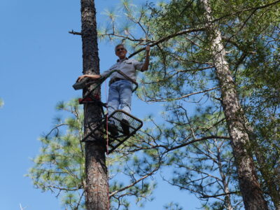 Geocaching, Tree Climbing, Eglin Air Force Base, Florida