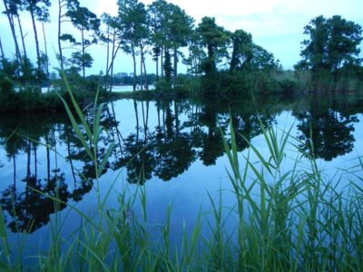 Lake at Mattie Kelly Park