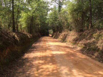 Lost in the North End