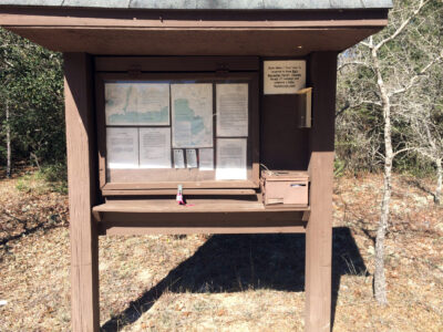 Hiking and Geocaching Florida Trail