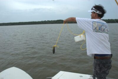 TAD tripletail attracting device