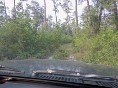 Explore Eglin EFB Reservation With Us